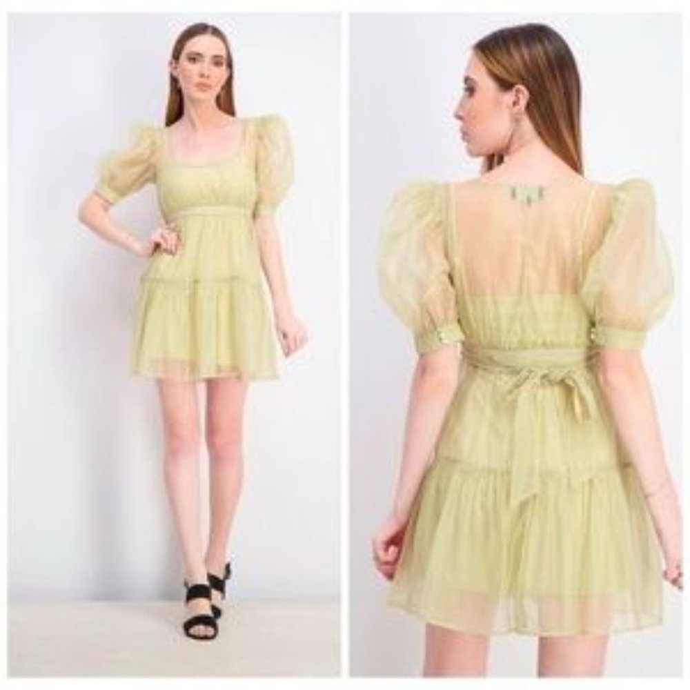 NWT Danielle Bernstein Womens Ruffled Mini Dress Large - Picture 3 of 9
